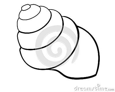 Shell snail or mollusk. Sea clam. Sea clam animal - vector image for coloring Vector Illustration