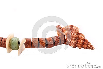 Shell with wood beads on the white background Stock Photo
