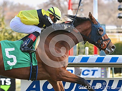 Shelley Ann Winning at Aqueduct Editorial Stock Photo