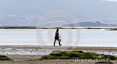 Shellfish gatherer woman walking along the beach shore to prepare to collect clams and mussels from the beach with his rake. Editorial Stock Photo