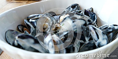 Shellfish Mussels Clams with cheese creamy sauce on blue wooden background copy space Stock Photo