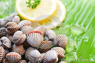 Shellfish Seafood Cockles fresh ocean gourmet dinner with lemon and ice on banana leaf - raw blood cockle Stock Photo