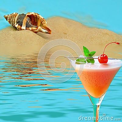 Shellfish on sun beach Stock Photo