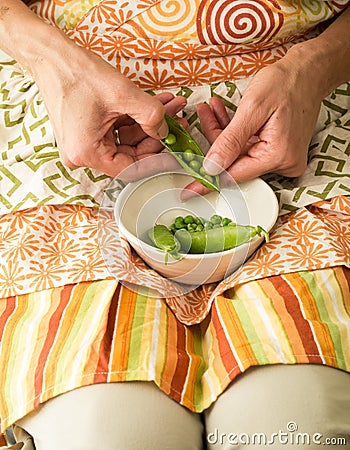 Shelling Fresh Garden Peas Stock Photo