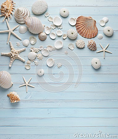 Shells Blue Wood Background Stock Photo