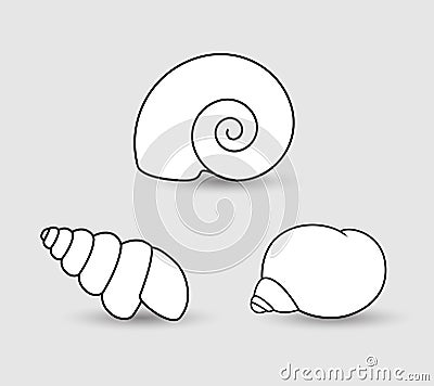 Shells Clipart Stock Photo