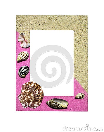 Shells on frame isolated Stock Photo