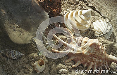 Shells with glass bottle, beach scenery Stock Photo