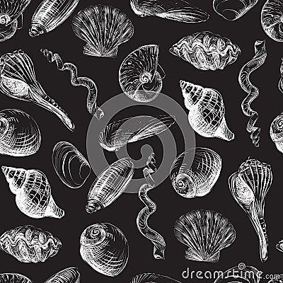 Shells hand-painted seamless pattern. Hand drawn vector illustration. Clams, scallops, shells. Vector Illustration