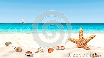 Shells and starfish on a sandy beach Stock Photo