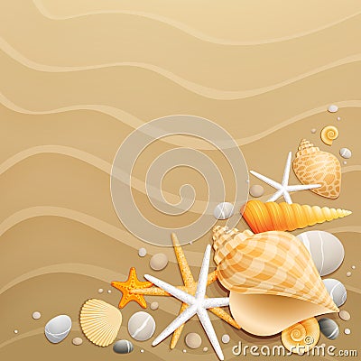 Shells and starfishes on sand background Vector Illustration