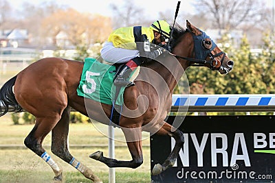 Shelley Ann winning at Aqueduct Racetrack Editorial Stock Photo