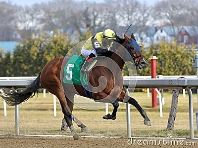 Shelley Ann winning at Aqueduct Racetrack Editorial Stock Photo