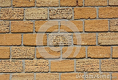 Shelly Limestone Wall Textured Background. Stock Photo