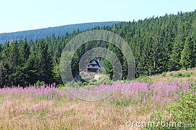 Shelter Hala Krupowa - Beskid Zywiecki, Poland Stock Photo