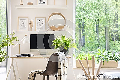 Shelves with illustrations above a wooden desk with computer by Cartoon Illustration