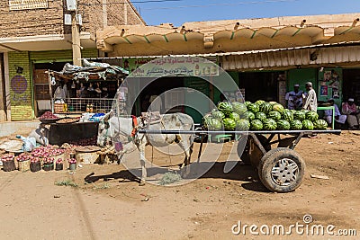 SHENDI, SUDAN - MARCH 6, 2019: Donkey cart with water melons in Shendi, Sud Editorial Stock Photo