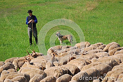 Sheperd, Hortobagy National Park, Hungary Editorial Stock Photo