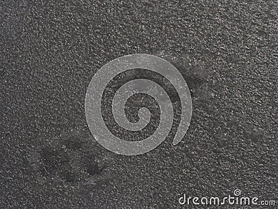 Shepherd dog footprint in the melting ice. Imprint of animal Stock Photo