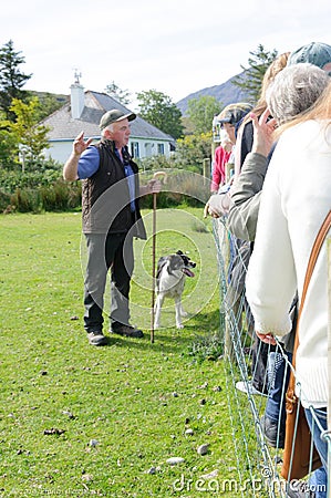 Shepherd holding a staff and sheep dog at tourist show. Editorial Stock Photo