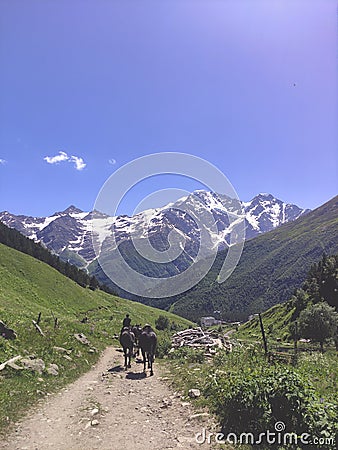 The shepherd leads the horses along the trail, against the background of a beautiful mountain landscape Editorial Stock Photo