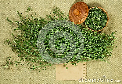 Shepherd purse. Dry herbs. Herbal medicine, phytotherapy medicinal herbs. Stock Photo