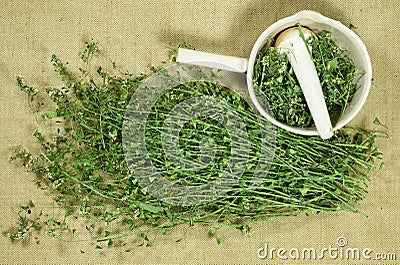 Shepherd purse. Dry herbs. Herbal medicine, phytotherapy medicin Stock Photo