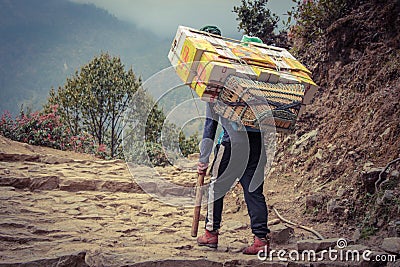 Sherpa porter carrying a heavy load in Nepal Editorial Stock Photo
