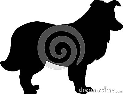 Shetland Sheepdog silhouette black Vector Illustration