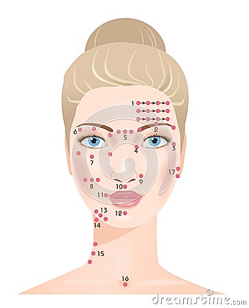 Shiatsu massage. Face points Vector Illustration