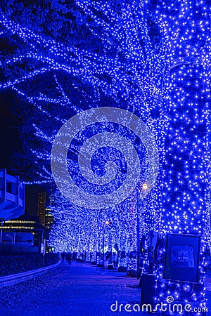 Shibuya Blue Cave winter illumination festival Editorial Stock Photo