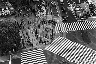 Shibuya Crossing XIV Editorial Stock Photo