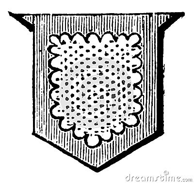 Shield Showing Difference is a bordure engrailed, vintage engraving Vector Illustration