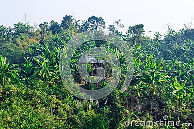 Shifting Cultivation Field over Bangladeshi hill tracts near Cox's Bazar. Shifting cultivation landscape Stock Photo