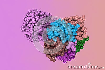 Shiga toxin produced by bacteria Shigella dysenteriae. Space-filling molecular model. Rendering with differently colored Cartoon Illustration