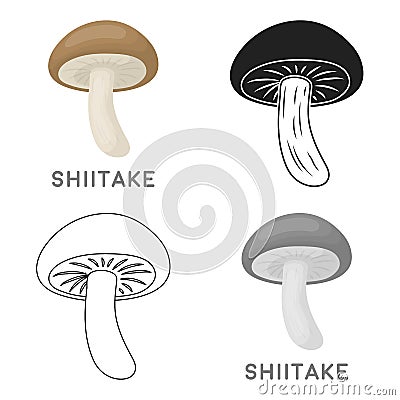 Shiitake icon in cartoon style isolated on white background. Mushroom symbol stock vector illustration. Vector Illustration