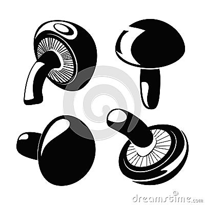 Shiitake mushroom. Black and white vector. Vector Illustration