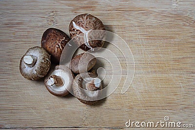 Shiitake mushroom Stock Photo