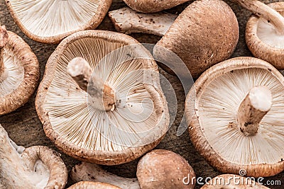 Shiitake mushrooms. Macro. Food background. Stock Photo