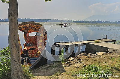 Shikara boats in Dal lake, Srinagar, Kashmir Stock Photo