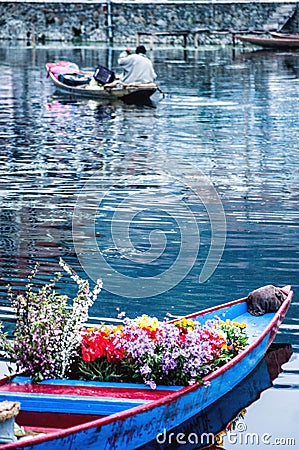 Shikars kashmir flower boat water Editorial Stock Photo