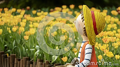 2019 Shilin official residence tulip exhibition, Taipei, Taiwan Editorial Stock Photo