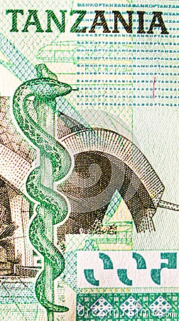 500 Shillings banknote. Bank of Tanzania. National currency. Fragment: Snake Stock Photo