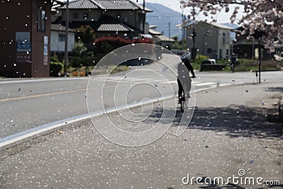 The Shimanami Kaido the most popular bicycle route in japan. Stock Photo