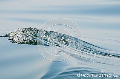 Shimmering Seawater Background Stock Photo