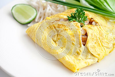 Shimp Pad Thai Covered with Fried Egg Stock Photo