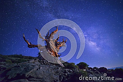 Shine under starry sky Stock Photo