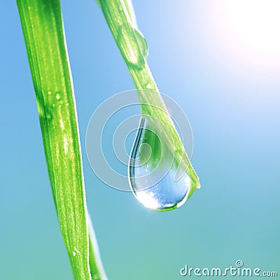 Shine water drop Stock Photo