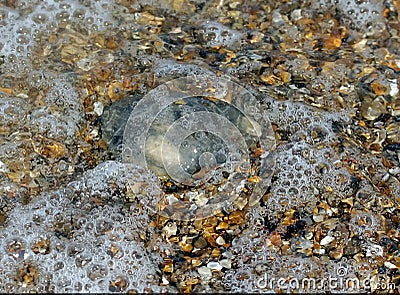 Shiney Wet Beach Pebbles Stock Photo