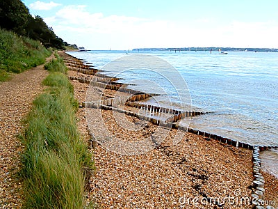 Shingle beach defence of wooden piles Stock Photo